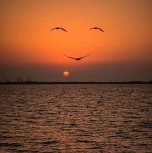 Meet your Posher, Nadia